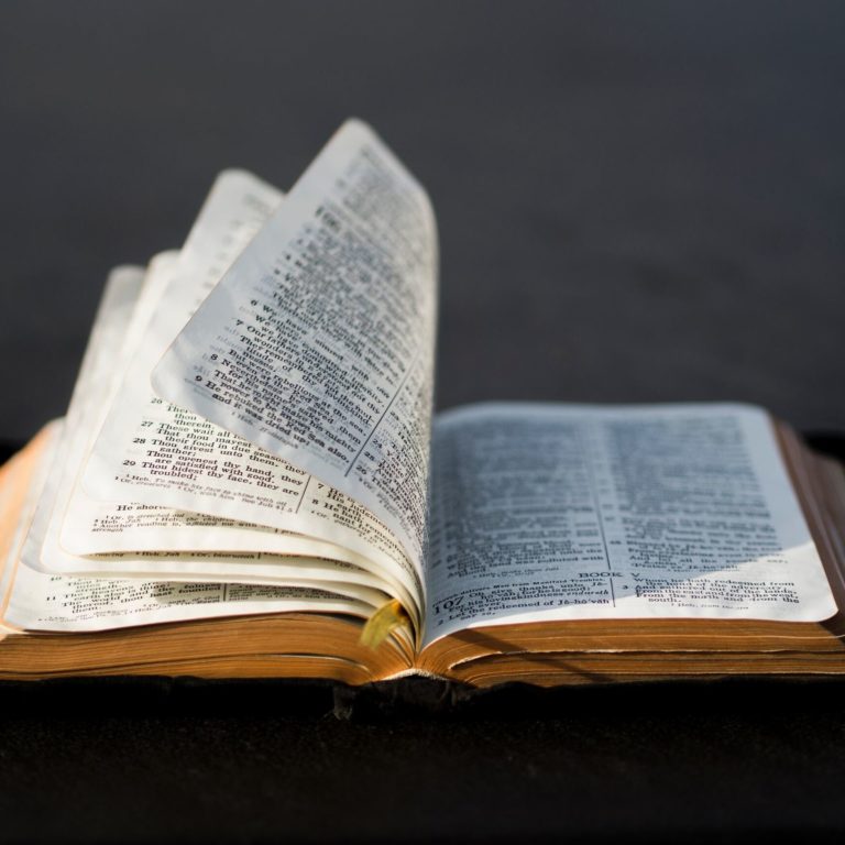 <title of image as alt>